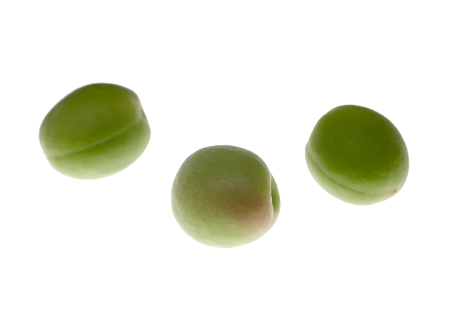 Groene pruim