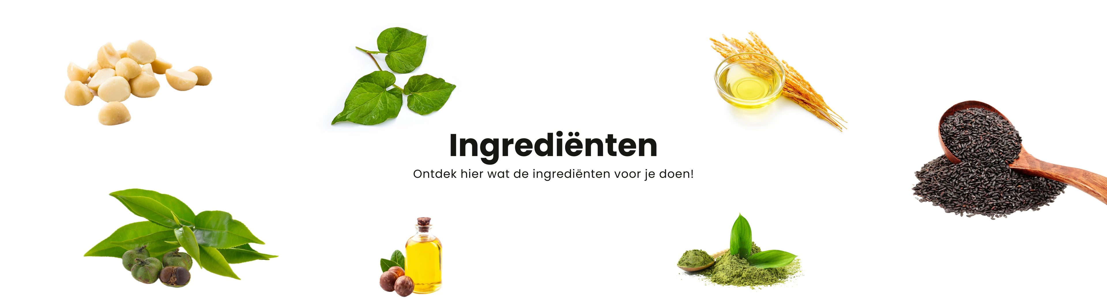 Banner voor de ingrediëntenpagina van Korean Skin World